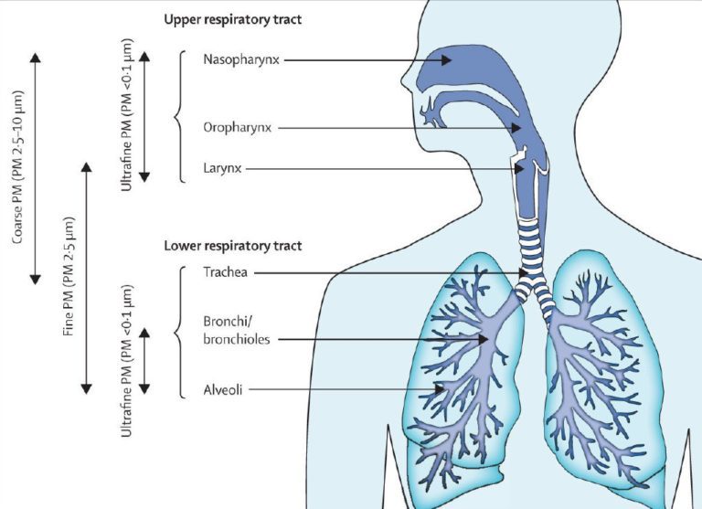 Clean Air Council » Blog Archive » Outdoor Air Pollution, Climate ...