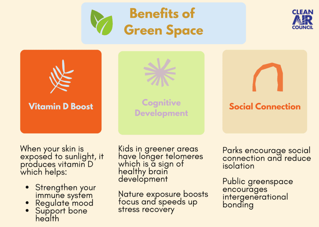 Benefits of Green Space. Vitamin D boost: When your skin is exposed to sunlight, it produces vitamin D which helps: Strengthen your immune system Regulate mood Support bone health. Cognitive Development: Kids in greener areas have longer telomeres which is a sign of healthy brain development Nature exposure boosts focus and speeds up stress recovery. Social Connection: Parks encourage social connection and reduce isolation Public greenspace encourages intergenerational bonding.