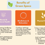 Benefits of Green Space. Mental & Emotional Health: Just hearing birdsong or seeing trees can reduce depression risk by 20% and loneliness by 28% Long-term greenspace access leads to better mental wellbeing. Mindfulness & Relaxation: Outdoor settings naturally encourage slower breathing, grounded attention, and presence in the moment. Physical Health: Time in nature reduces: Blood Pressure Cortisol (stress hormone) Heart Rate And is linked to lower rates of: Diabetes Cardiovascular disease