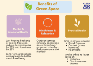 Benefits of Green Space. Mental & Emotional Health: Just hearing birdsong or seeing trees can reduce depression risk by 20% and loneliness by 28% Long-term greenspace access leads to better mental wellbeing. Mindfulness & Relaxation: Outdoor settings naturally encourage slower breathing, grounded attention, and presence in the moment. Physical Health: Time in nature reduces: Blood Pressure Cortisol (stress hormone) Heart Rate And is linked to lower rates of: Diabetes Cardiovascular disease